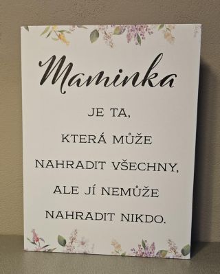 „Maminka je ta, která může nahradit všechny, ale ji nemůže nahradit nikdo.“ Tento citát hřeje u srdce. Jemný obraz, který...